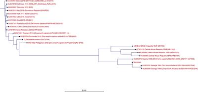 Zika Virus Infection During Research Vaccine Development: Investigation of the Laboratory-Acquired Infection via Nanopore Whole-Genome Sequencing